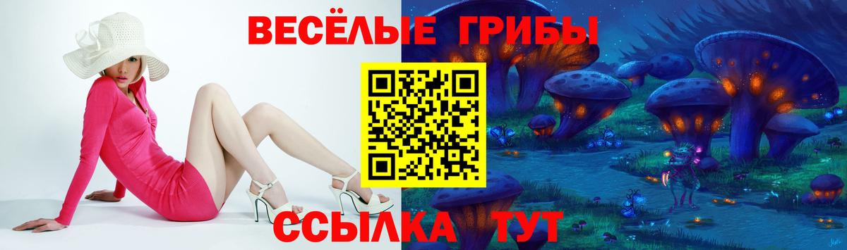 Галлюциногенные грибы ЛСД  Вход с VPN  Майкоп 